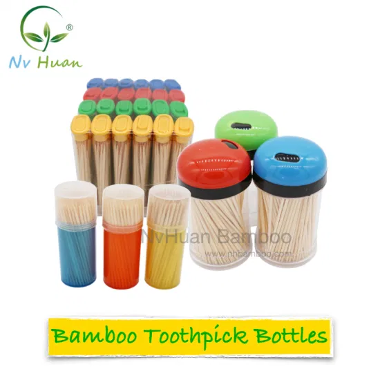 Cello-Zahnstocher aus Bambus, einzeln verpackt, mit Flaschenhalter aus Kunststoffglas, Spenderbehälter