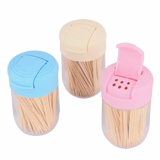 Hochwertiger Einweg-Zahnstocher aus Bambus in Kunststoffröhre