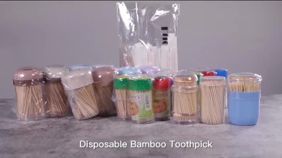 Hochwertiger Einweg-Zahnstocher aus Bambus in Kunststoffröhre